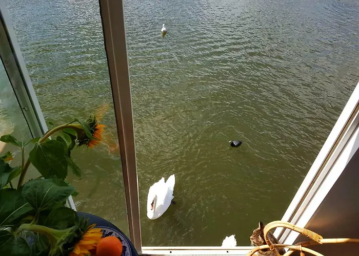 Houseboat Concordia לינה וארוחת בוקר 3*